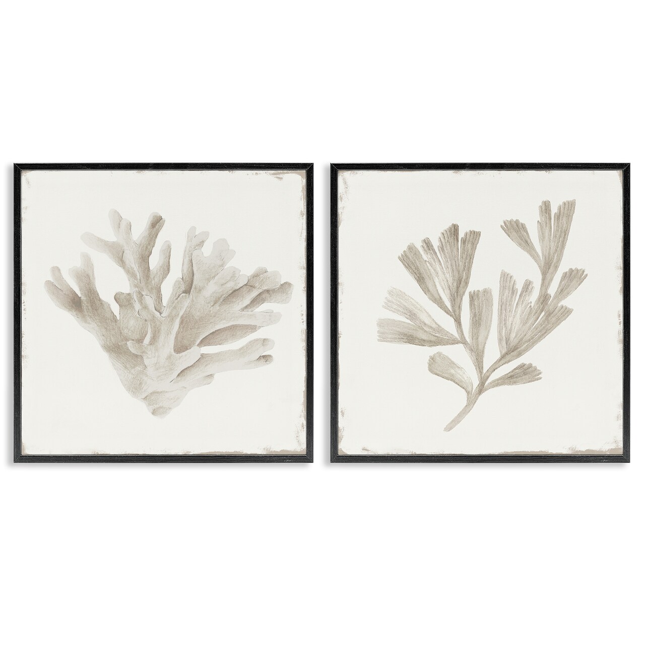 Stupell Industries Beige Coral Drift 2pc Framed Giclee Set, design by Lily K.